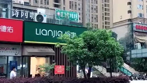 所以說開店位置很重要,你看這五家房產中介,養活旁邊一家的復印店