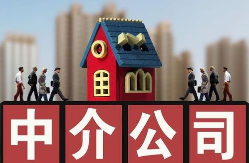 全國首創全面取消房產中介服務,你怎么看