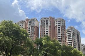 中字頭集體大漲,中南股份、中國鐵建漲停,央企回報ETF(561960)漲3.75%