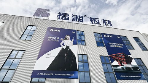 創新齊聚力 同心向未來丨福湘北方 臨沂 客戶服務中心成立暨新產品發布會圓滿成功