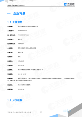 中山市雅佳房地產中介服務企業信用報告-天眼查