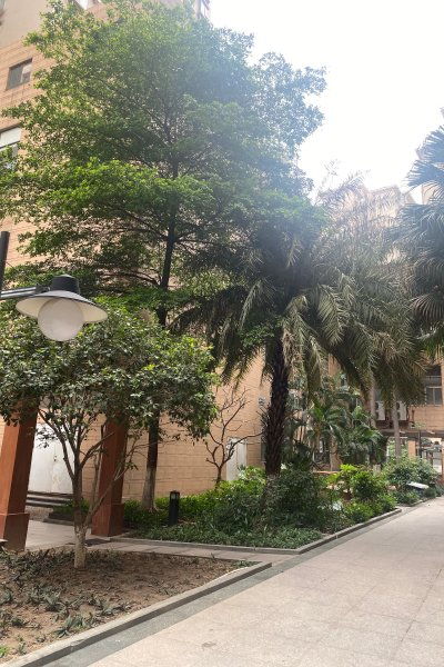 金河水岸一區優點 不足,金河水岸一區怎么樣,金河水岸一區周邊房產中介經紀人評價 佛山安居客